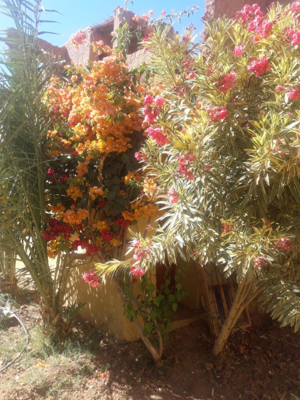 Kasbah Timidarte Otel Zaouita Bou Lhassane Dış mekan fotoğraf