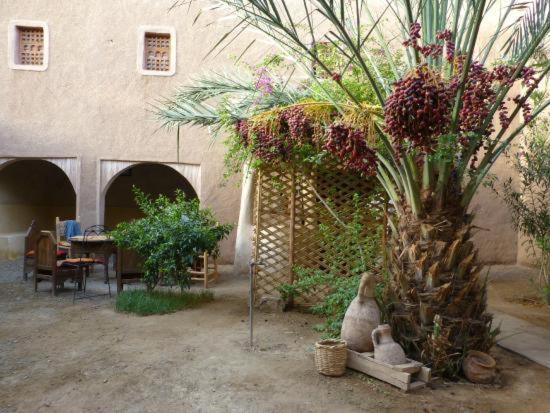 Kasbah Timidarte Otel Zaouita Bou Lhassane Dış mekan fotoğraf